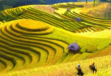 HDSD Điện Biên: đơn giá nhân công 598/QĐ-SXD, giá ca máy 599/QĐ-SXD năm 2025